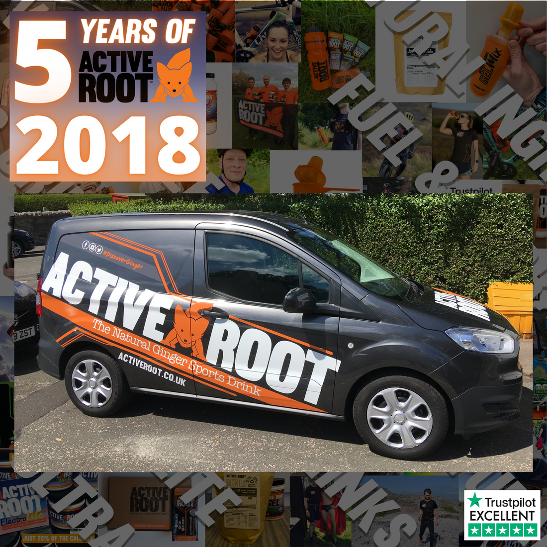 5 Years of Active Root 2018