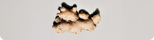 What's the Benefit of Ginger in My Nutrition?